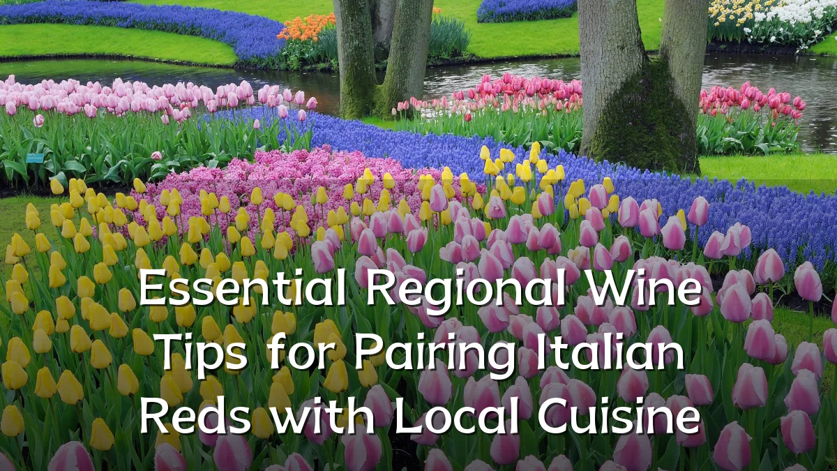 Essential Regional Wine Tips for Pairing Italian Reds with Local Cuisine