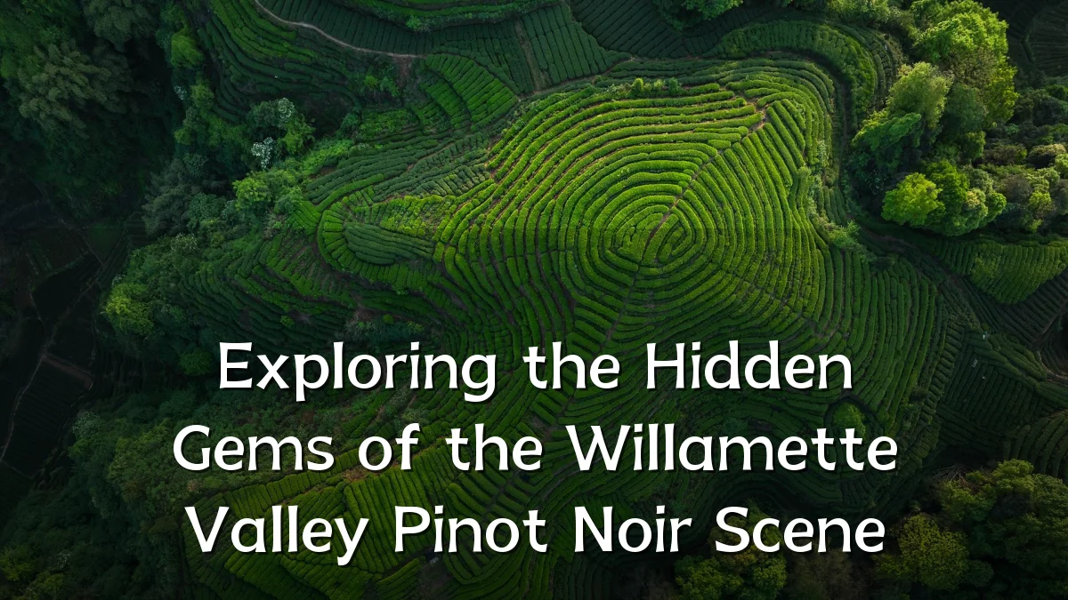 Exploring the Hidden Gems of the Willamette Valley Pinot Noir Scene