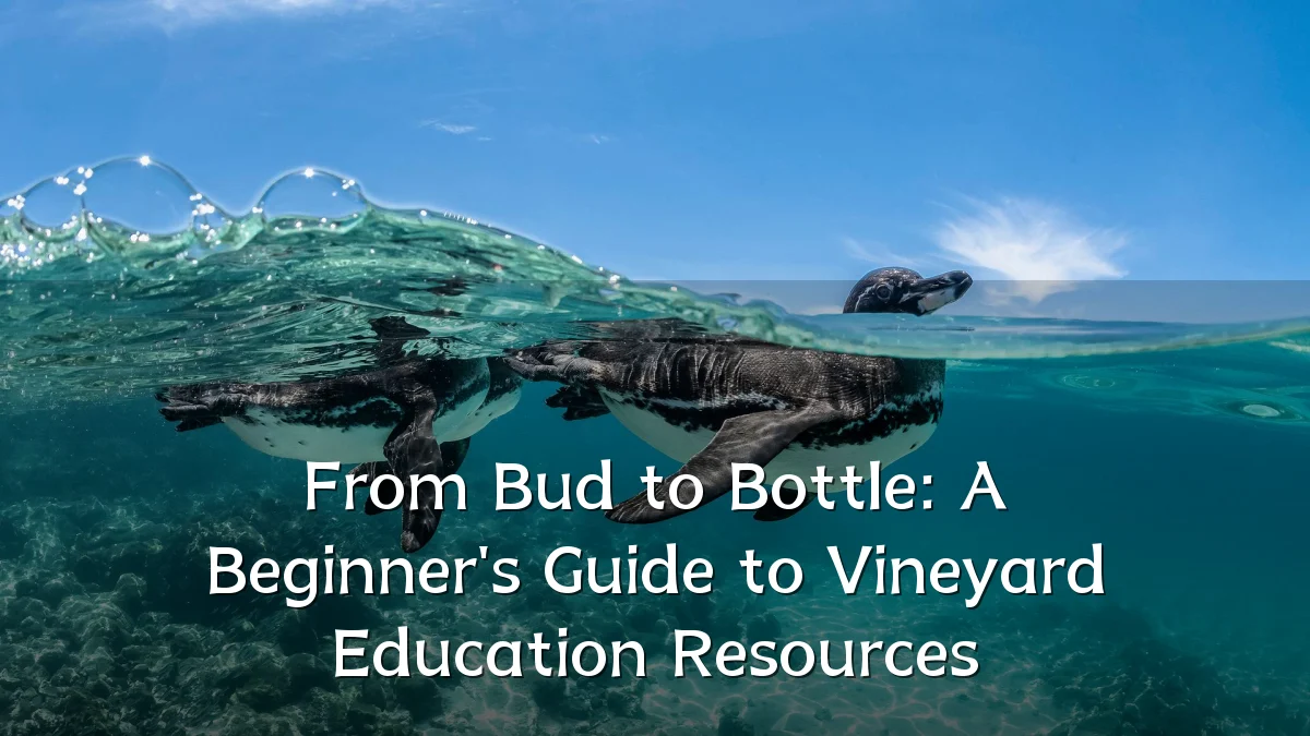From Bud to Bottle: A Beginner's Guide to Vineyard Education Resources