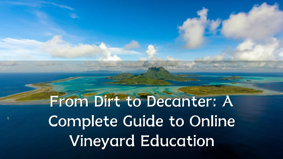 From Dirt to Decanter: A Complete Guide to Online Vineyard Education