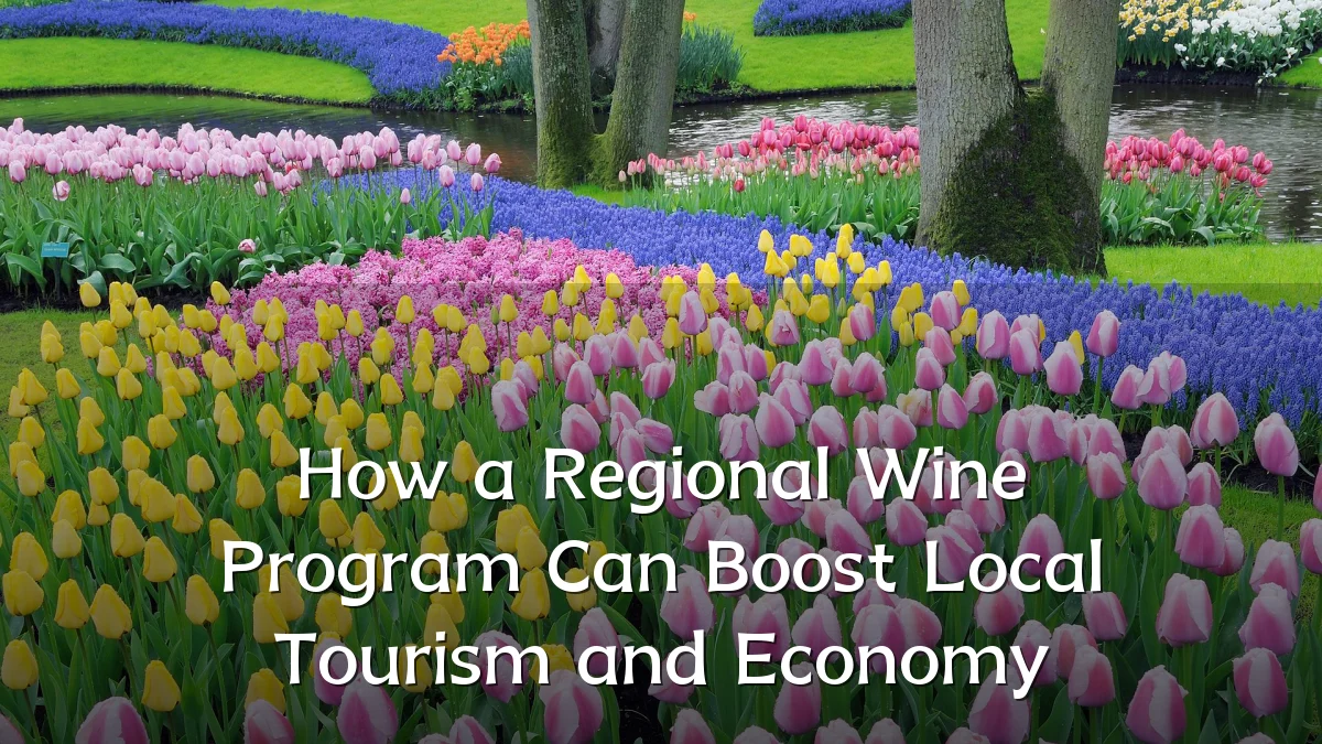How a Regional Wine Program Can Boost Local Tourism and Economy
