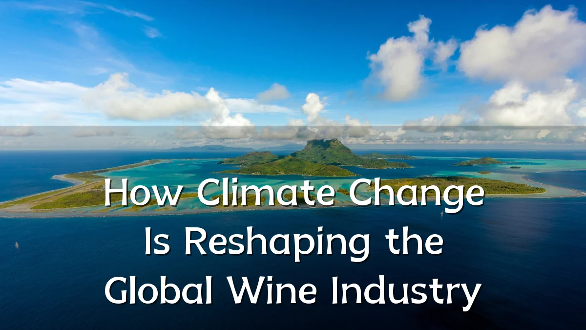 How Climate Change Is Reshaping the Global Wine Industry