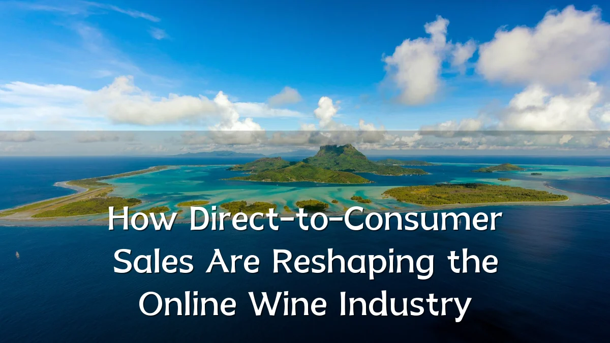 How Direct-to-Consumer Sales Are Reshaping the Online Wine Industry