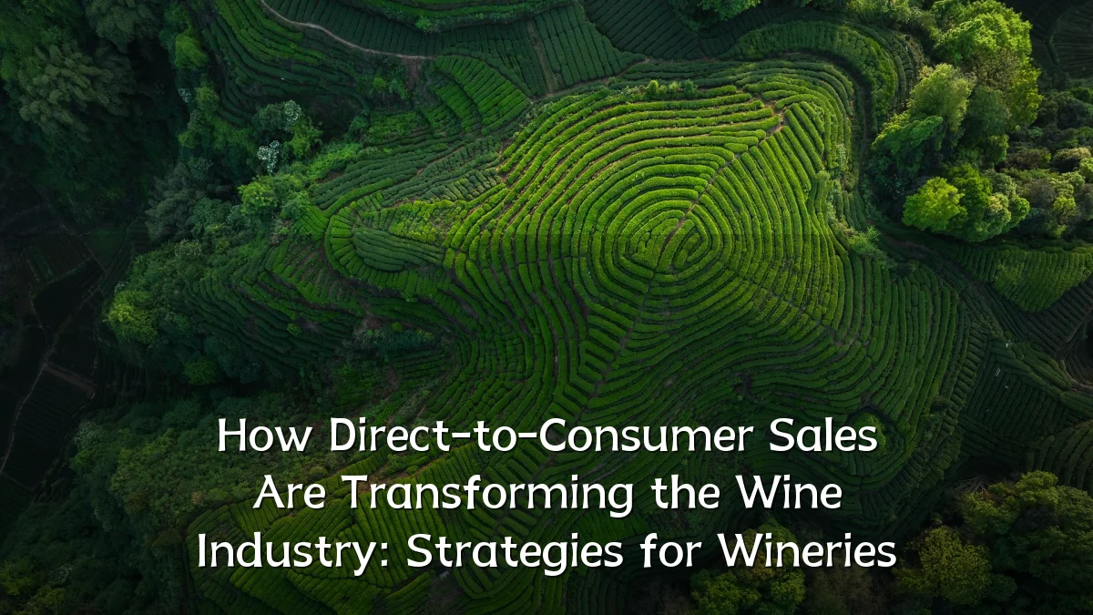 How Direct-to-Consumer Sales Are Transforming the Wine Industry: Strategies for Wineries