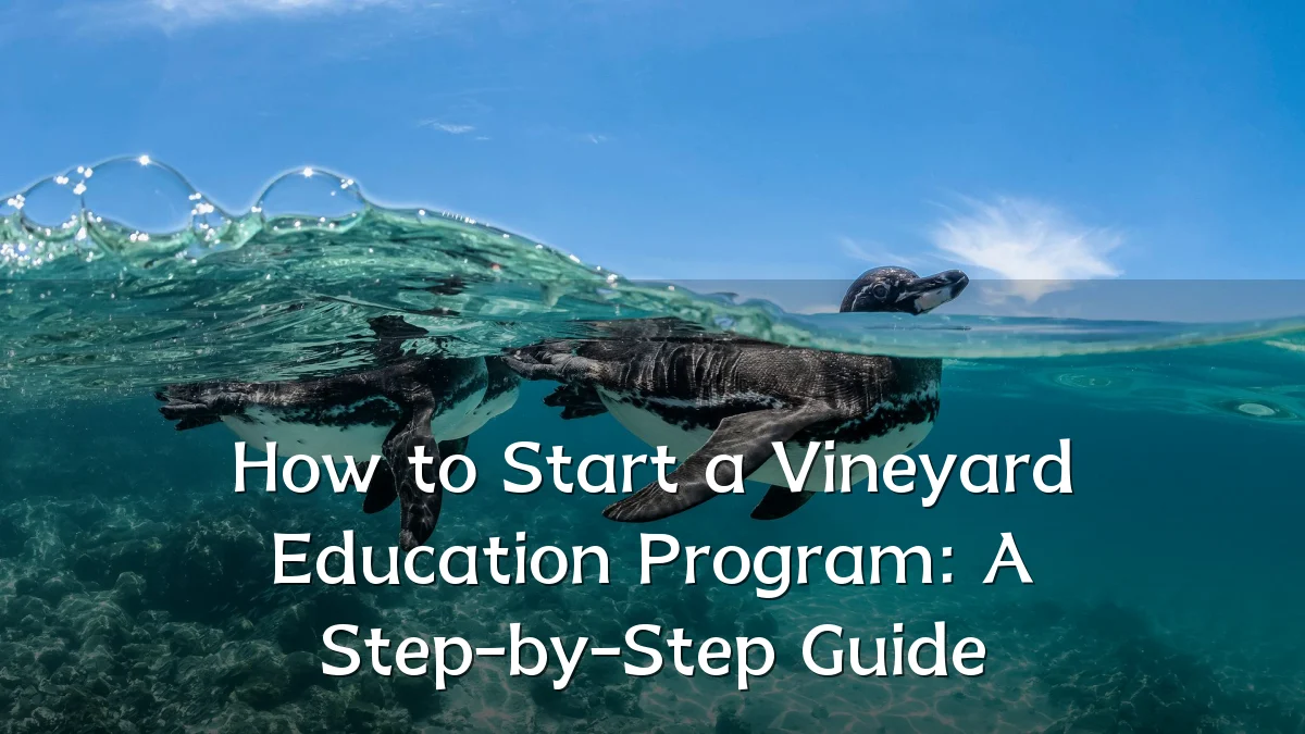How to Start a Vineyard Education Program: A Step-by-Step Guide
