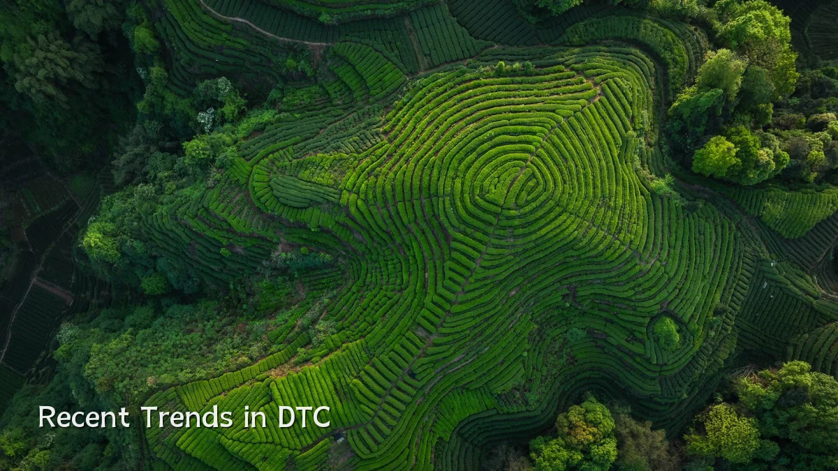 Recent Trends in DTC