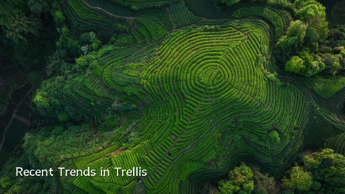 Recent Trends in Trellis