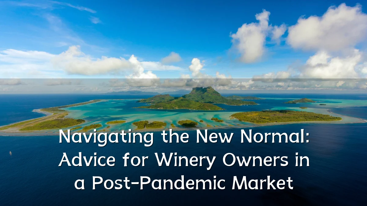 Navigating the New Normal: Advice for Winery Owners in a Post-Pandemic Market