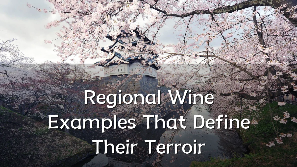 Regional Wine Examples That Define Their Terroir