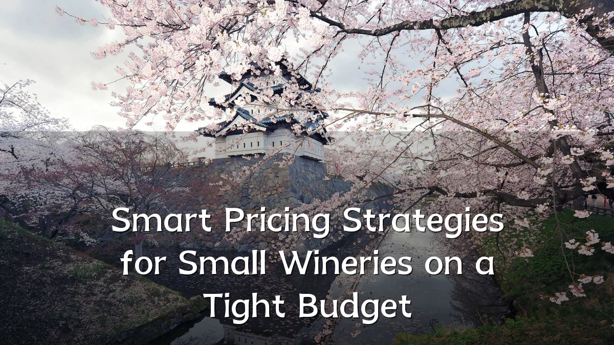 Smart Pricing Strategies for Small Wineries on a Tight Budget