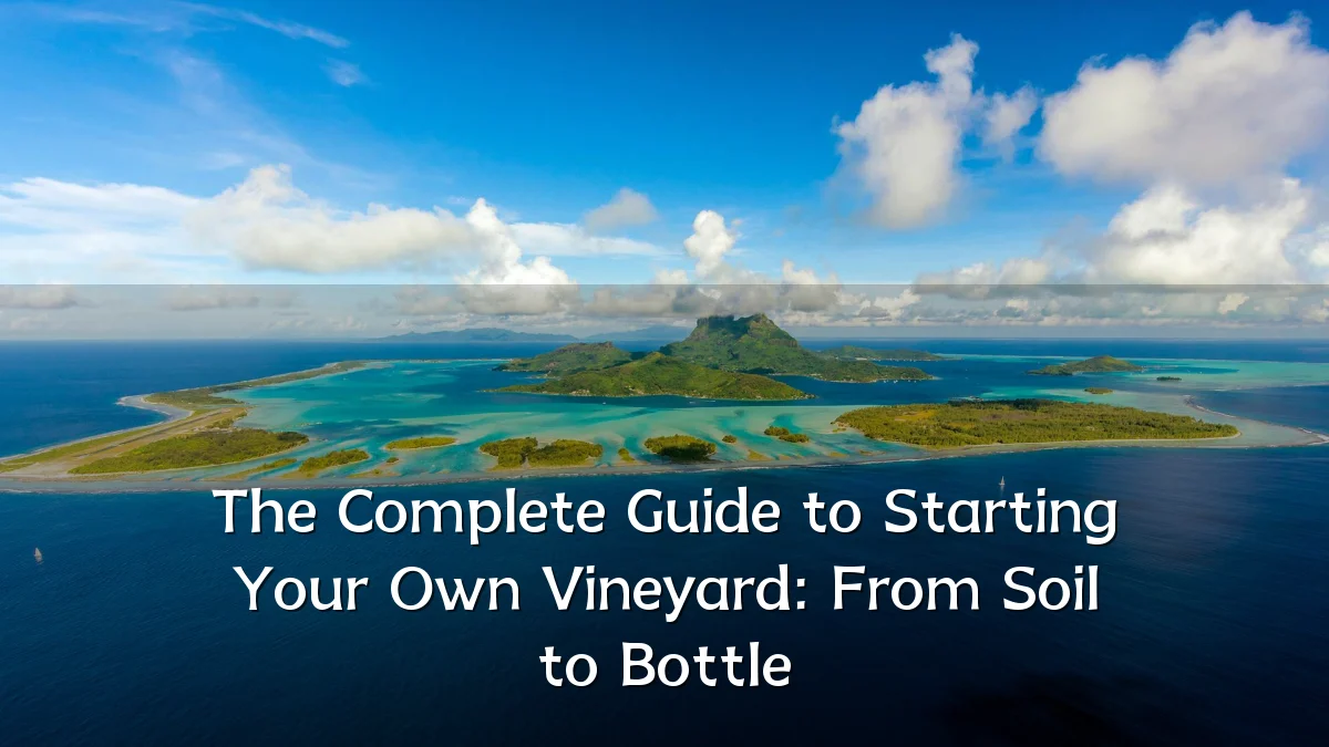 The Complete Guide to Starting Your Own Vineyard: From Soil to Bottle