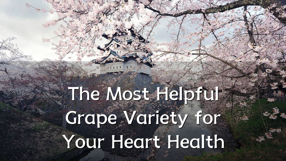 The Most Helpful Grape Variety for Your Heart Health