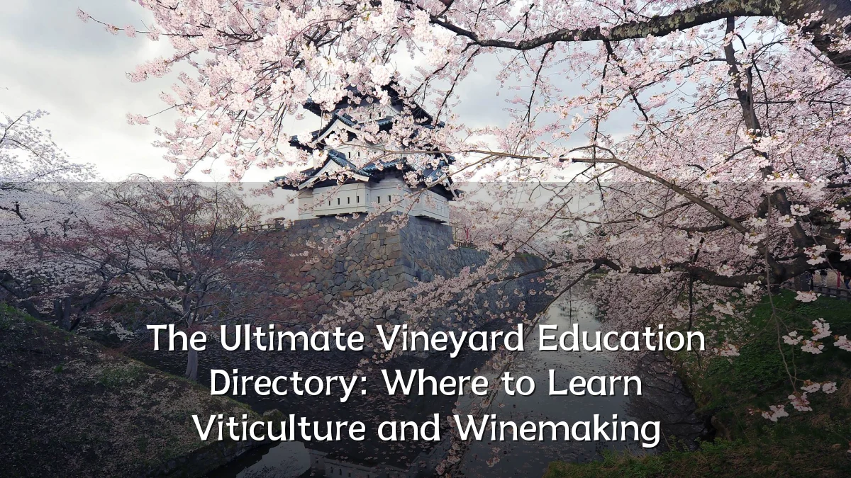 The Ultimate Vineyard Education Directory: Where to Learn Viticulture and Winemaking