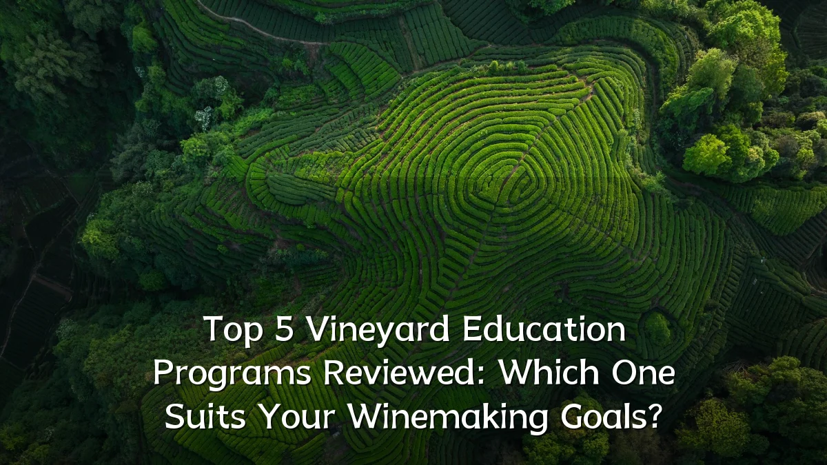 Top 5 Vineyard Education Programs Reviewed: Which One Suits Your Winemaking Goals?